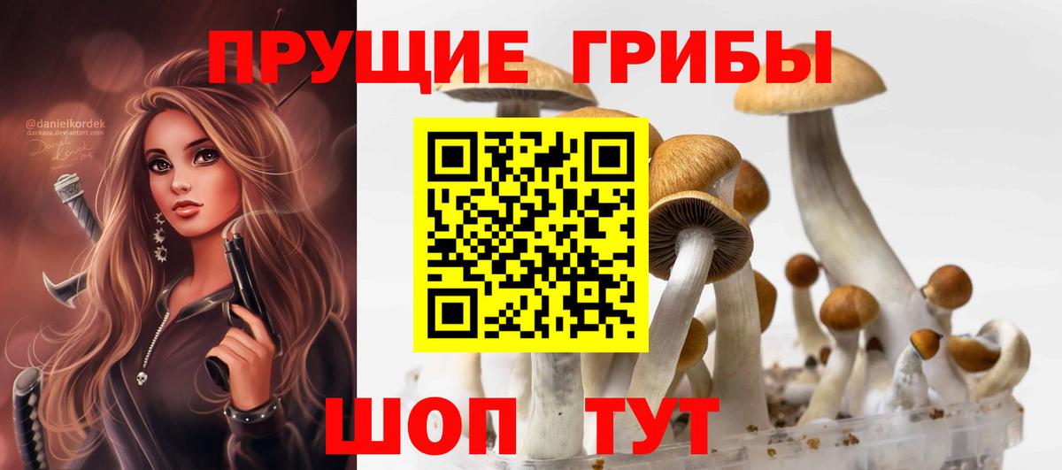 Псилоцибиновые грибы мухоморы  Вход с VPN  Россия 